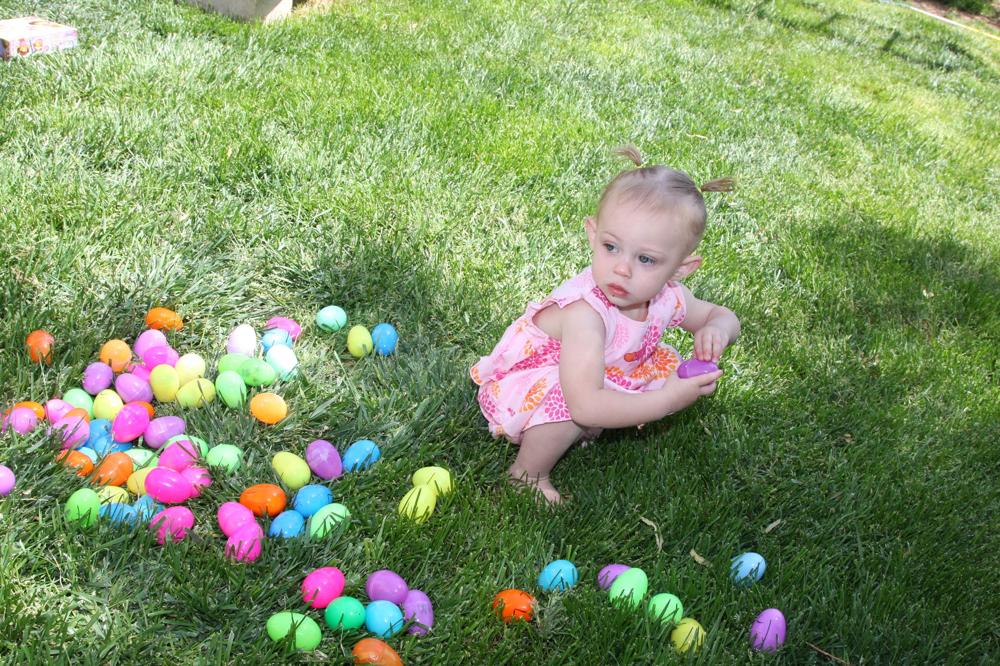 Easter_Egg_Hunt_2011_2810929.JPG