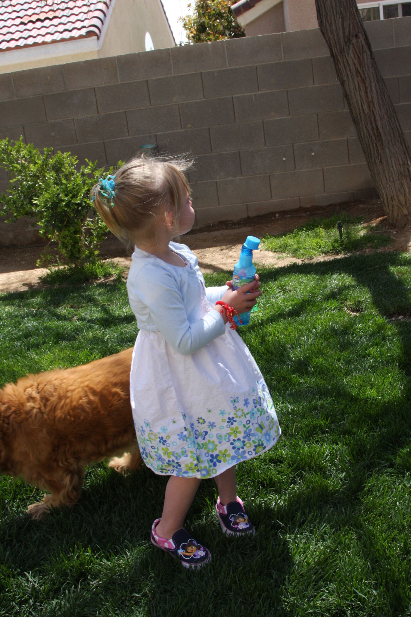 Easter_2012__2810729.JPG