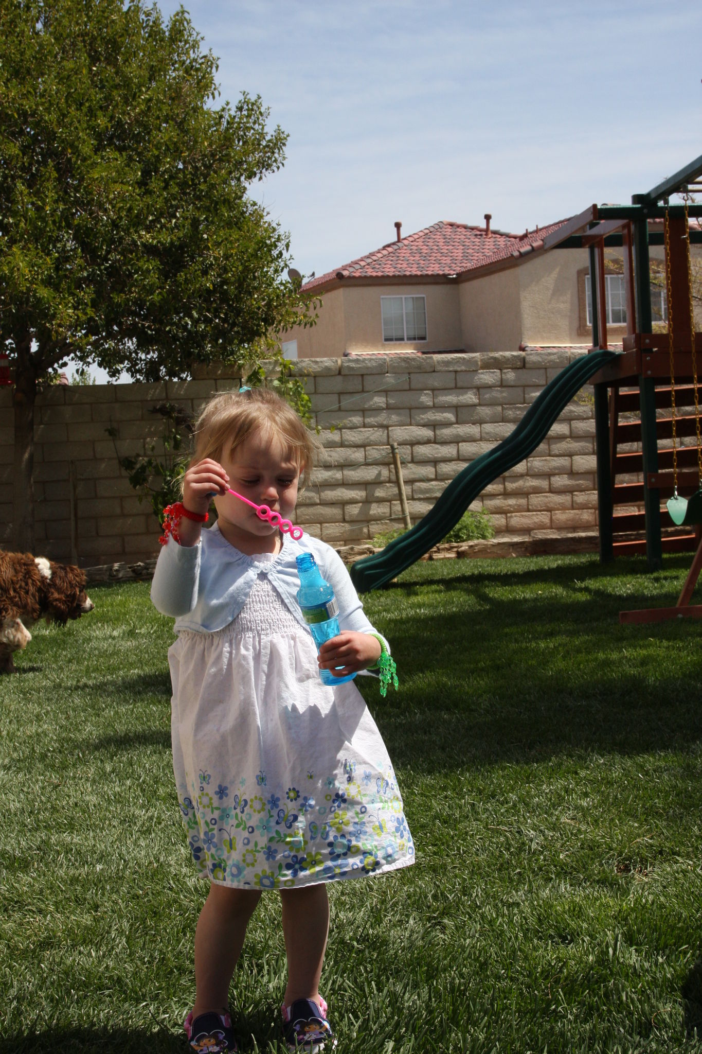 Easter_2012__288429.JPG